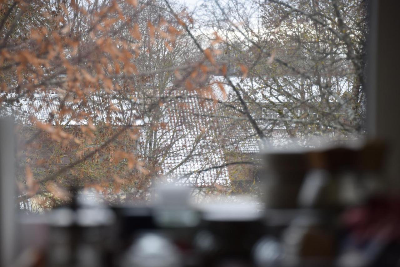 Parka Apartamenti Kuldīga Esterno foto